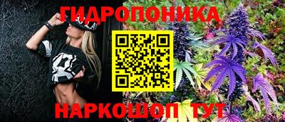 MESCALINE Гатчина