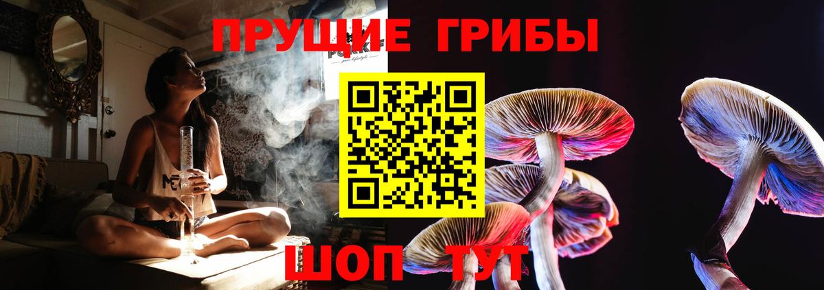 Псилоцибиновые грибы Magic Shrooms Краснодар