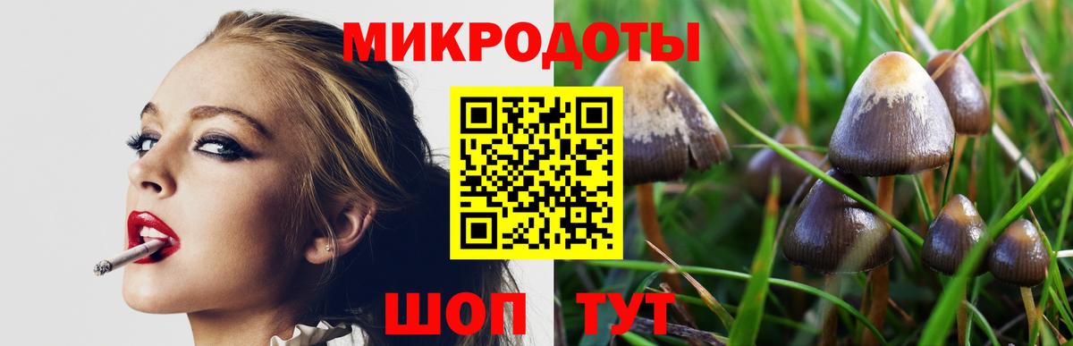 Псилоцибиновые грибы мицелий  Вход с VPN  Краснодар 